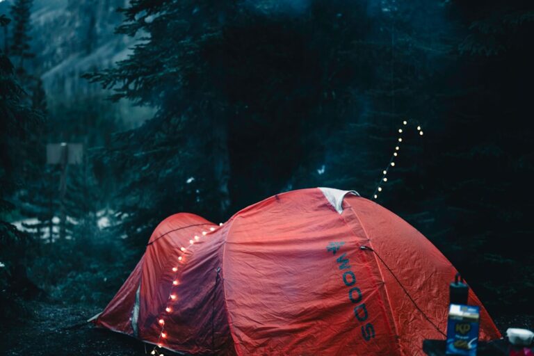 How to Plan the Perfect Camping Trip This Year